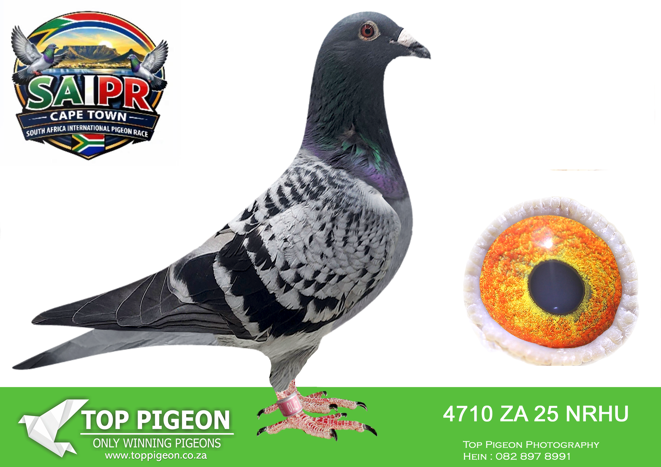 LOT 49 SAIPR CAPETOWN-Alan Fourie Team1-ZA-2025-NRHU-4710 –
