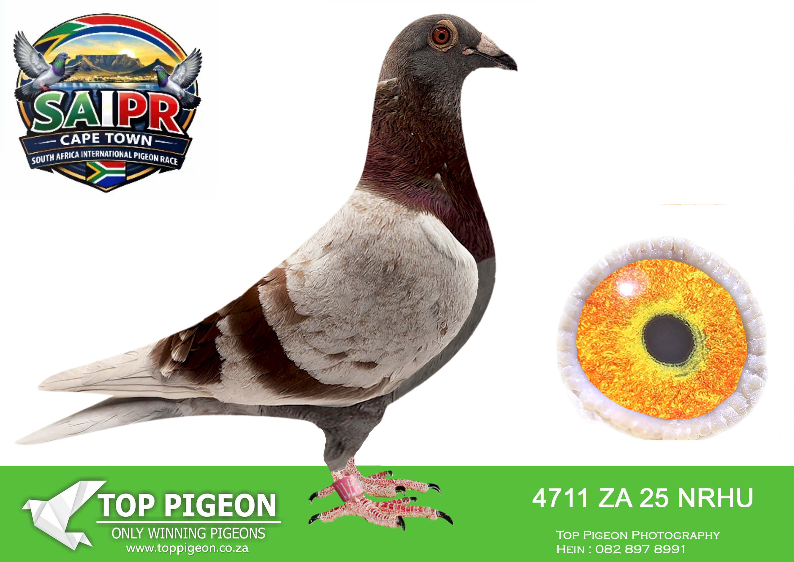 ZZ..LOT 139 SAIPR CAPETOWN-Pat Manuel + Joe Gomes-ZA-2025-NRHU-4711 –