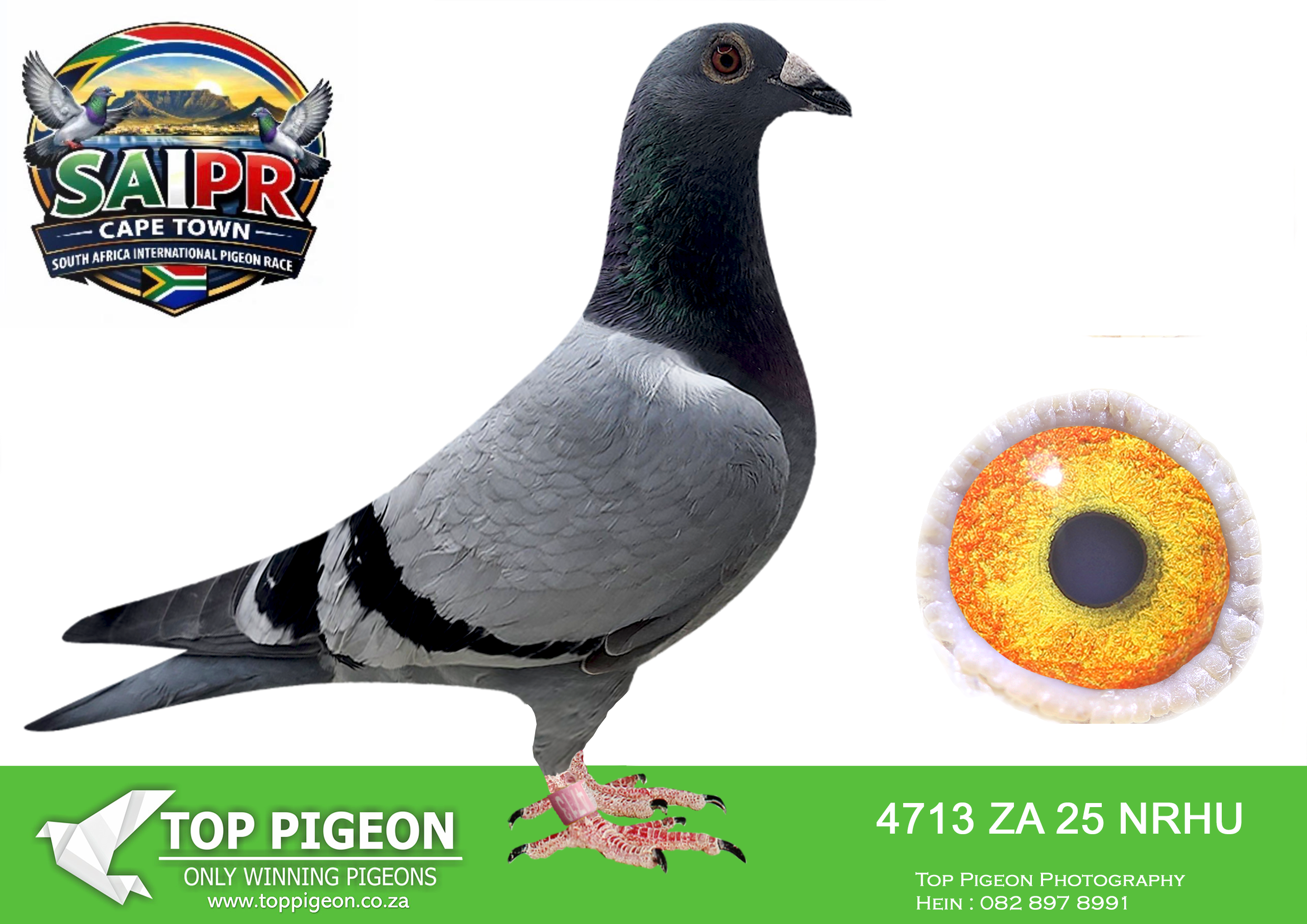 LOT 98 SAIPR CAPETOWN-Wespoel Hokke-ZA-2025-NRHU-4713 –