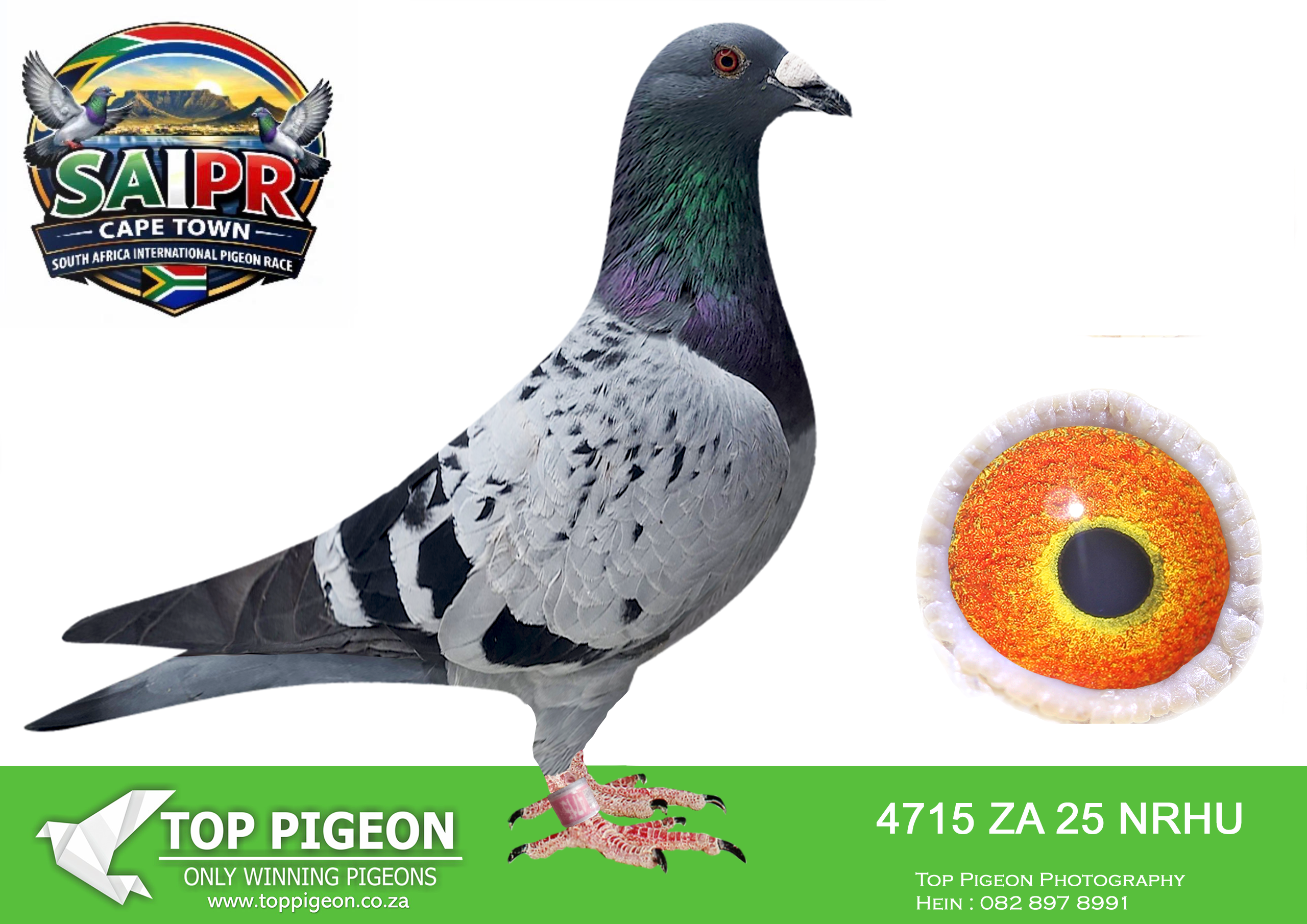 LOT 30 SAIPR CAPETOWN-Lourens Jonker-ZA-2025-NRHU-4715 –