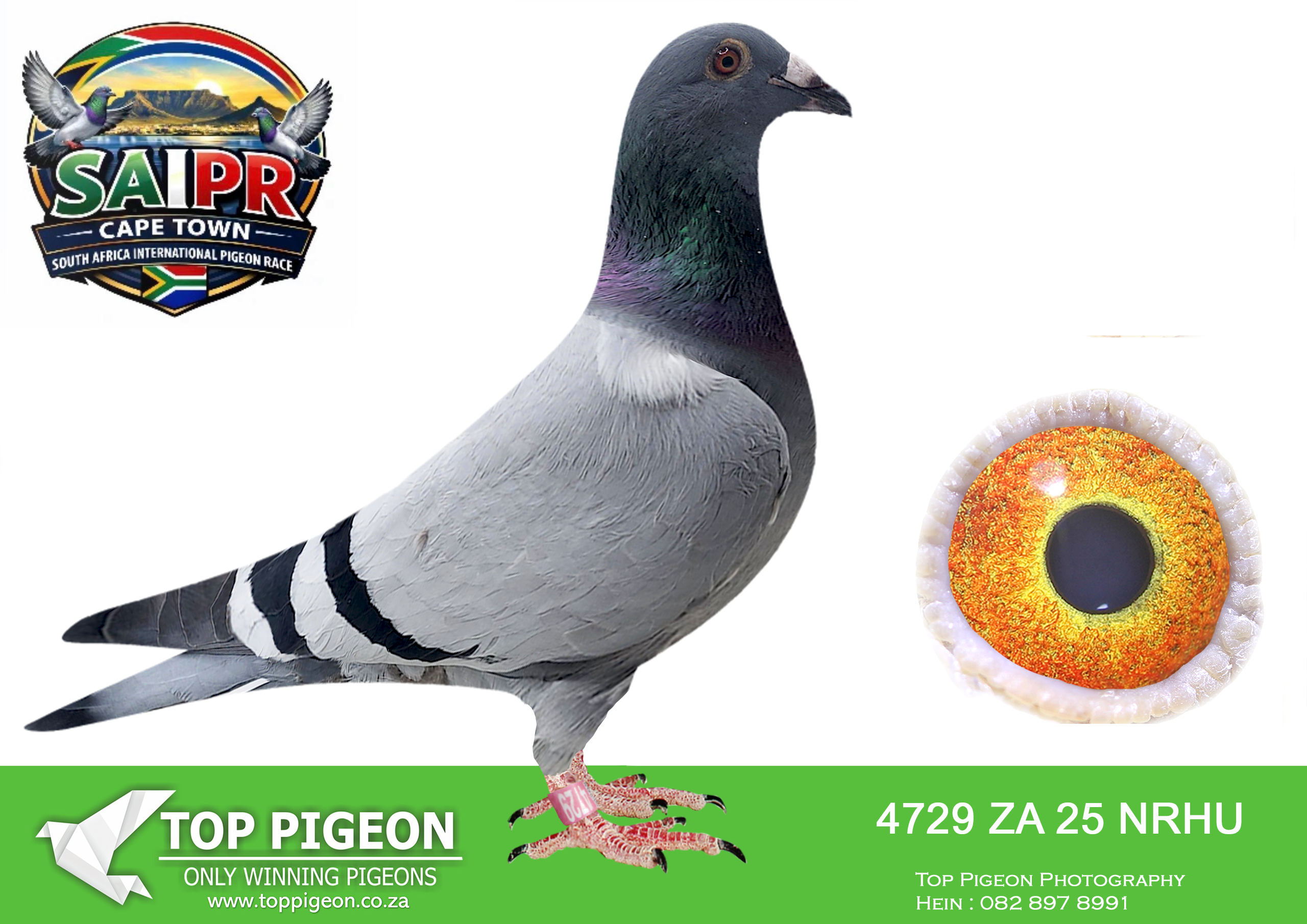 LOT 39 SAIPR CAPETOWN-Fouche Kartel-ZA-2025-NRHU-4729 –