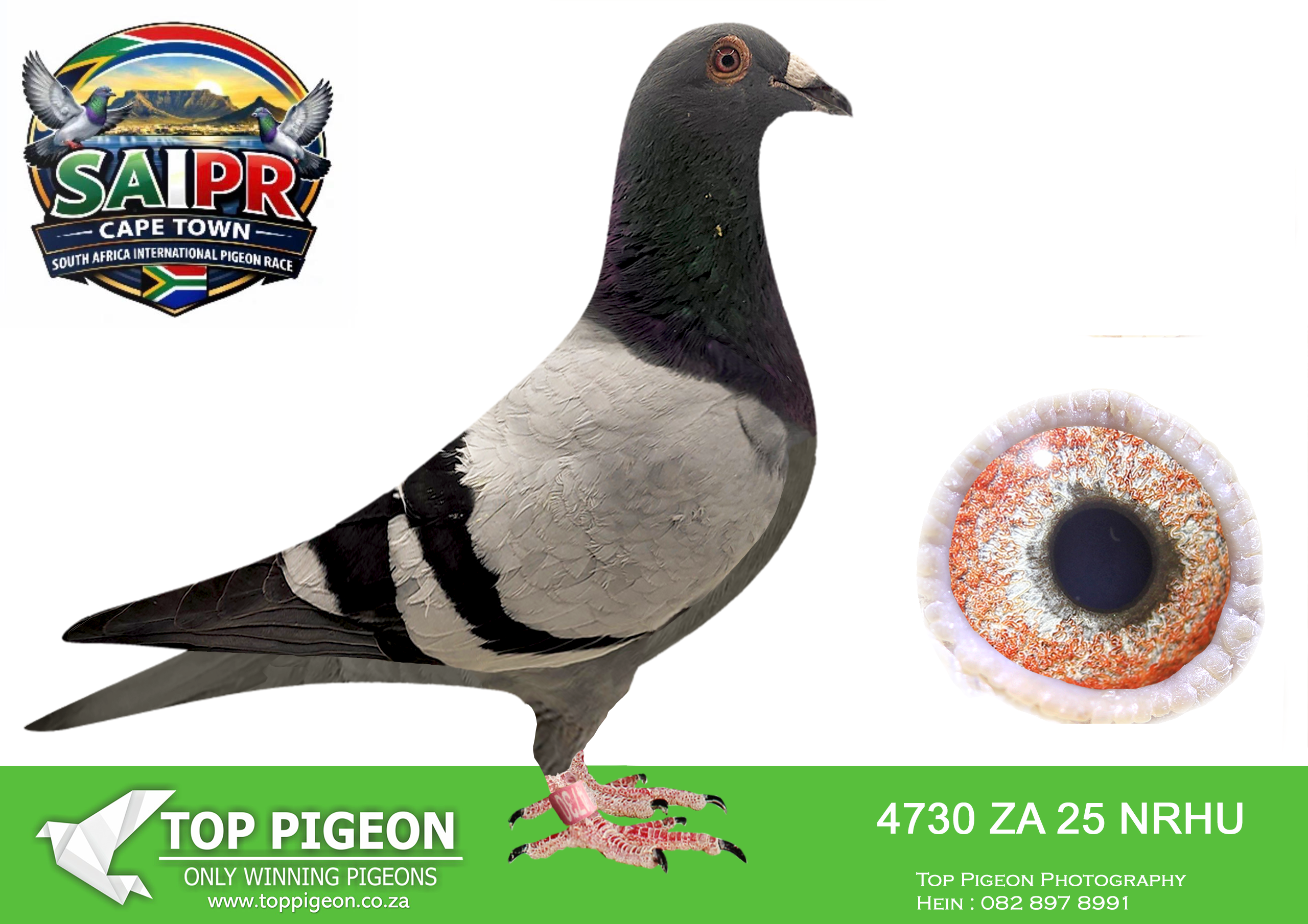 LOT 76 SAIPR CAPETOWN-Ninja Team2-ZA-2025-NRHU-4730 –