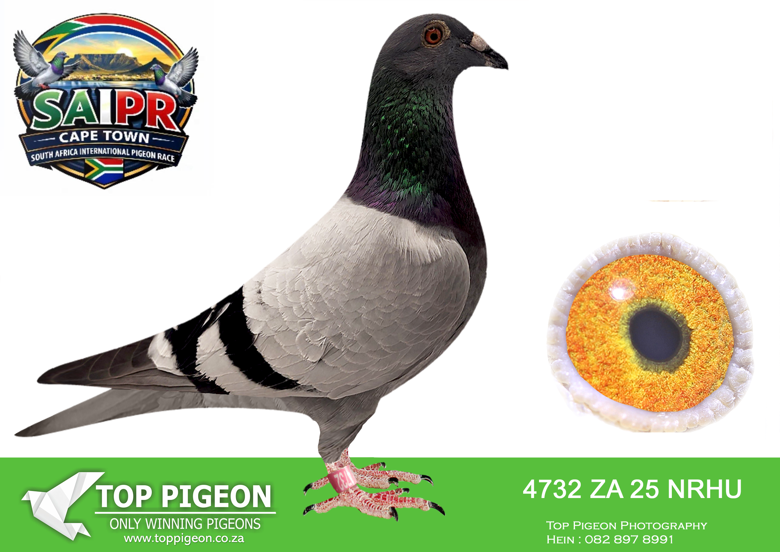 LOT 92 SAIPR CAPETOWN-Fouche Kartel-ZA-2025-NRHU-4732 –