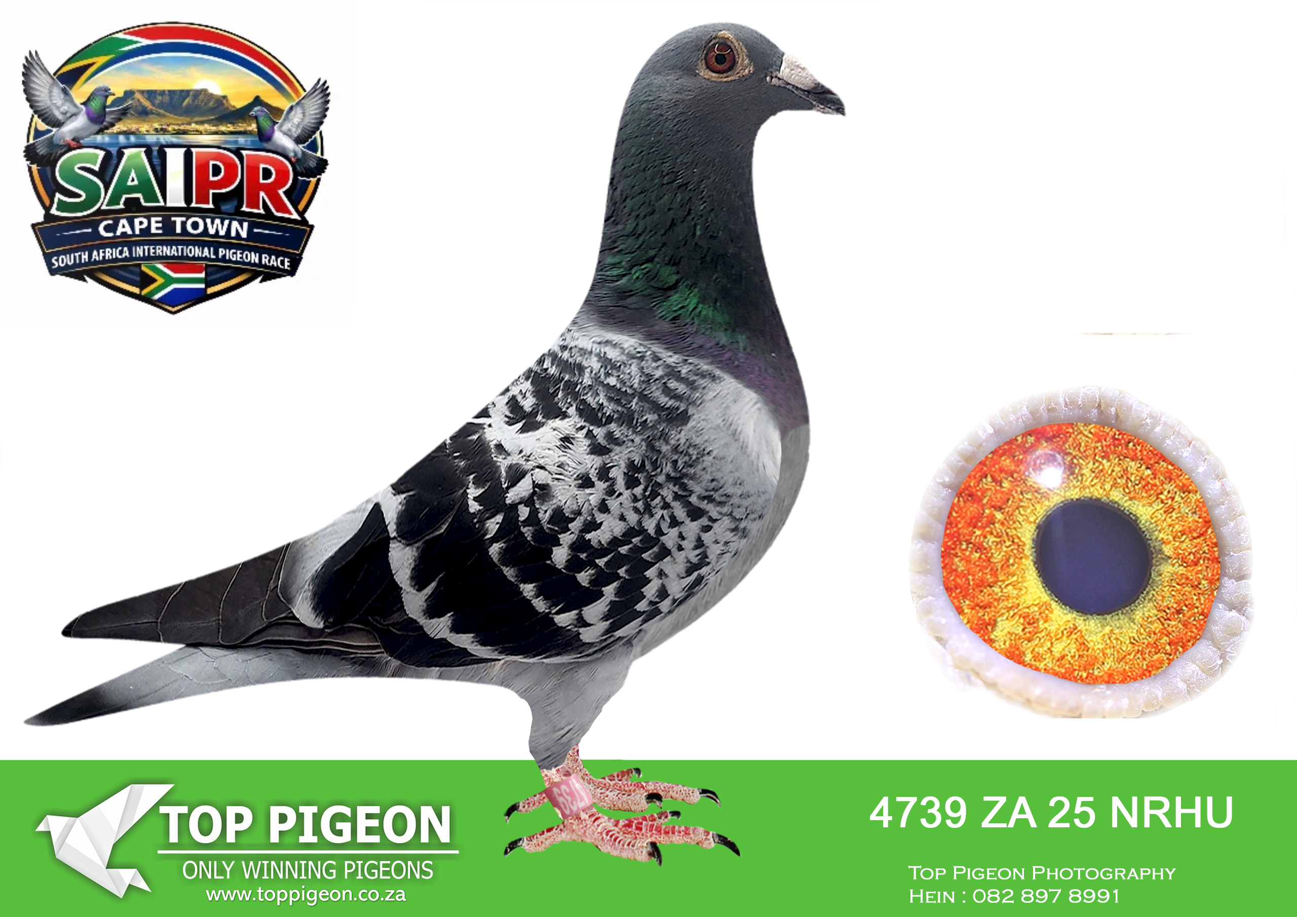 .LOT 6 SAIPR CAPETOWN-Mark Cornick Team1-ZA-2025-NRHU-4739 –