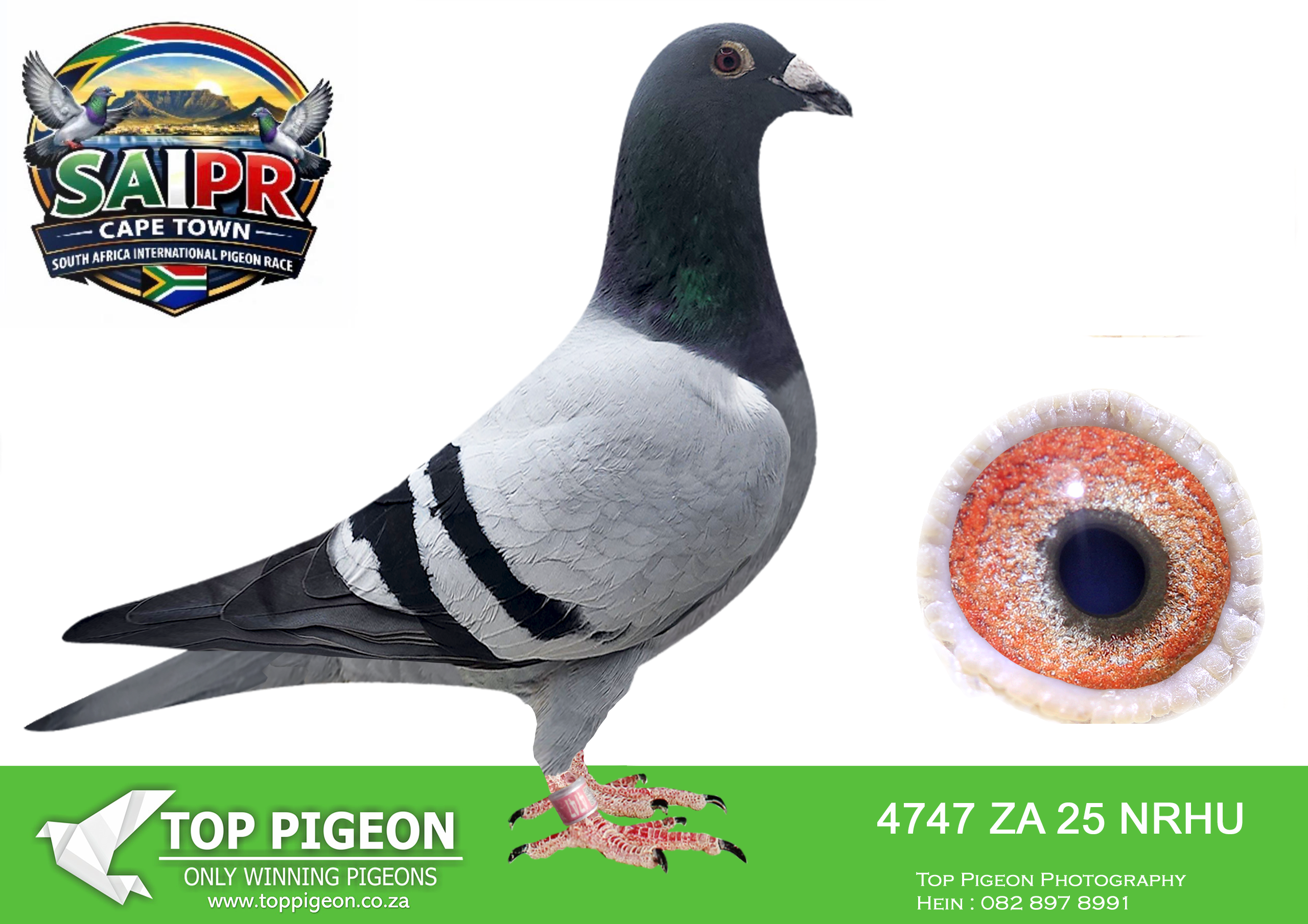 LOT 66 SAIPR CAPETOWN-Dewald Linde Team2-ZA-2025-NRHU-4747 –