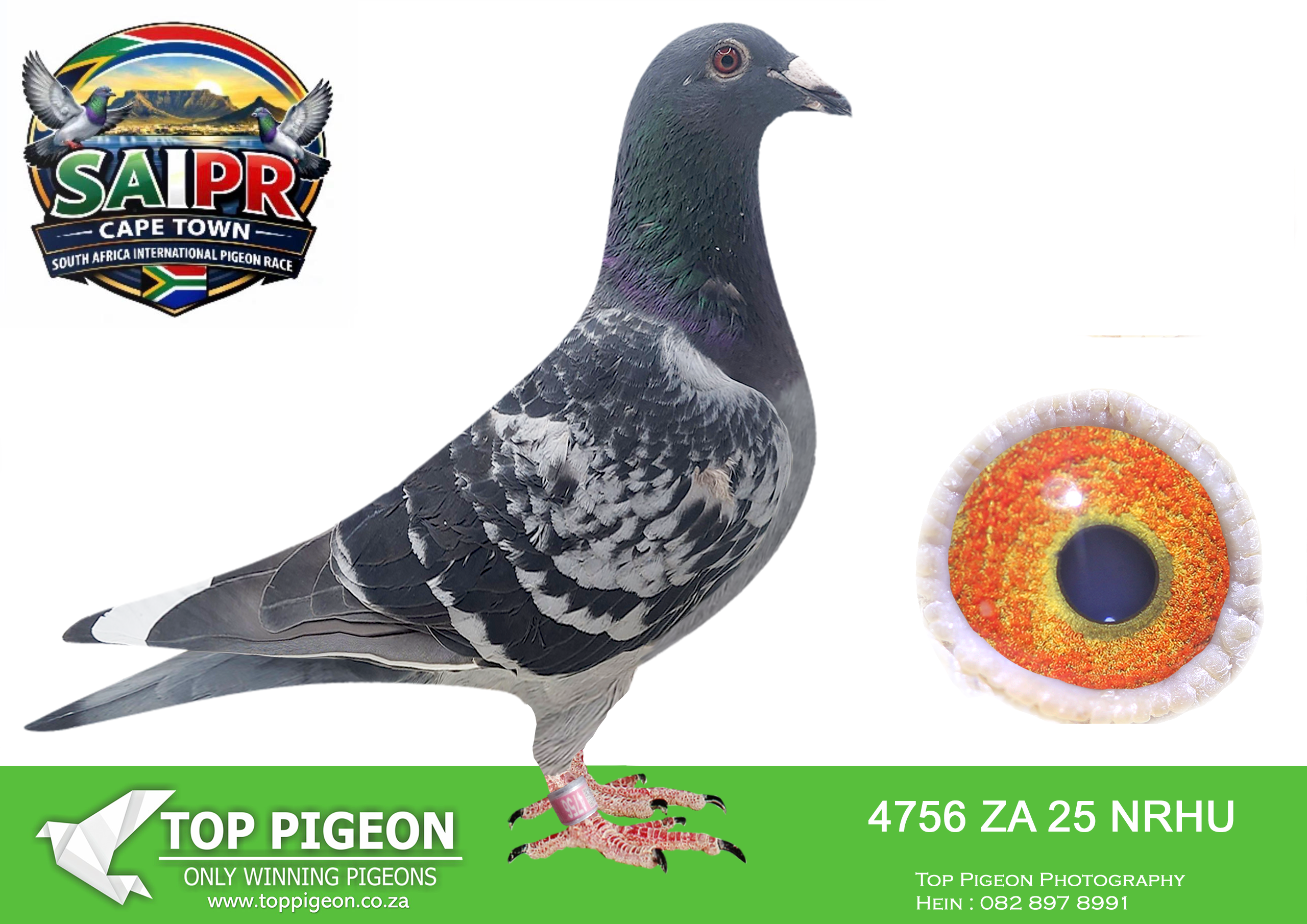 LOT 27 SAIPR CAPETOWN-Ninja Team2-ZA-2025-NRHU-4756 –