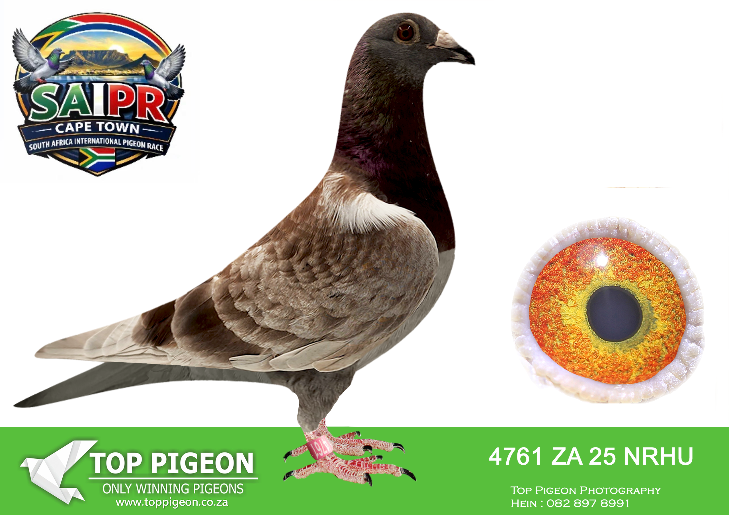 ZZ..LOT 137 SAIPR CAPETOWN-Klerksdorp Racers-ZA-2025-NRHU-4761 –