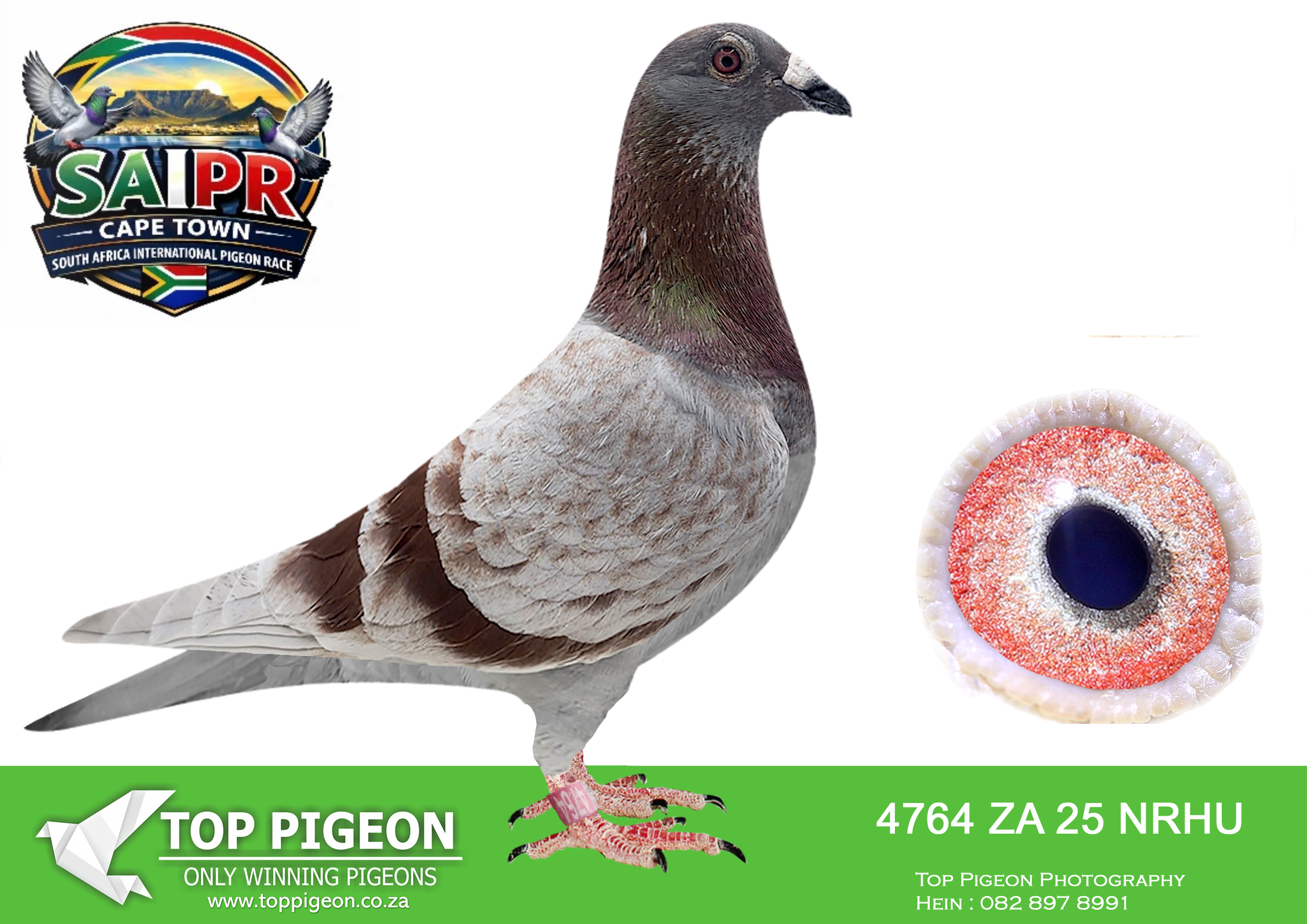 LOT 33 SAIPR CAPETOWN-Dewald Linde Team2-ZA-2025-NRHU-4764 –