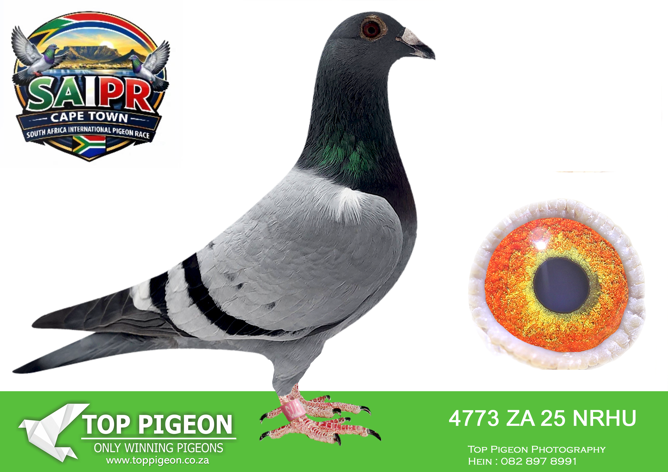 LOT 26 SAIPR CAPETOWN-KDK Racing & Joe Gomes-ZA-2025-NRHU-4773 –