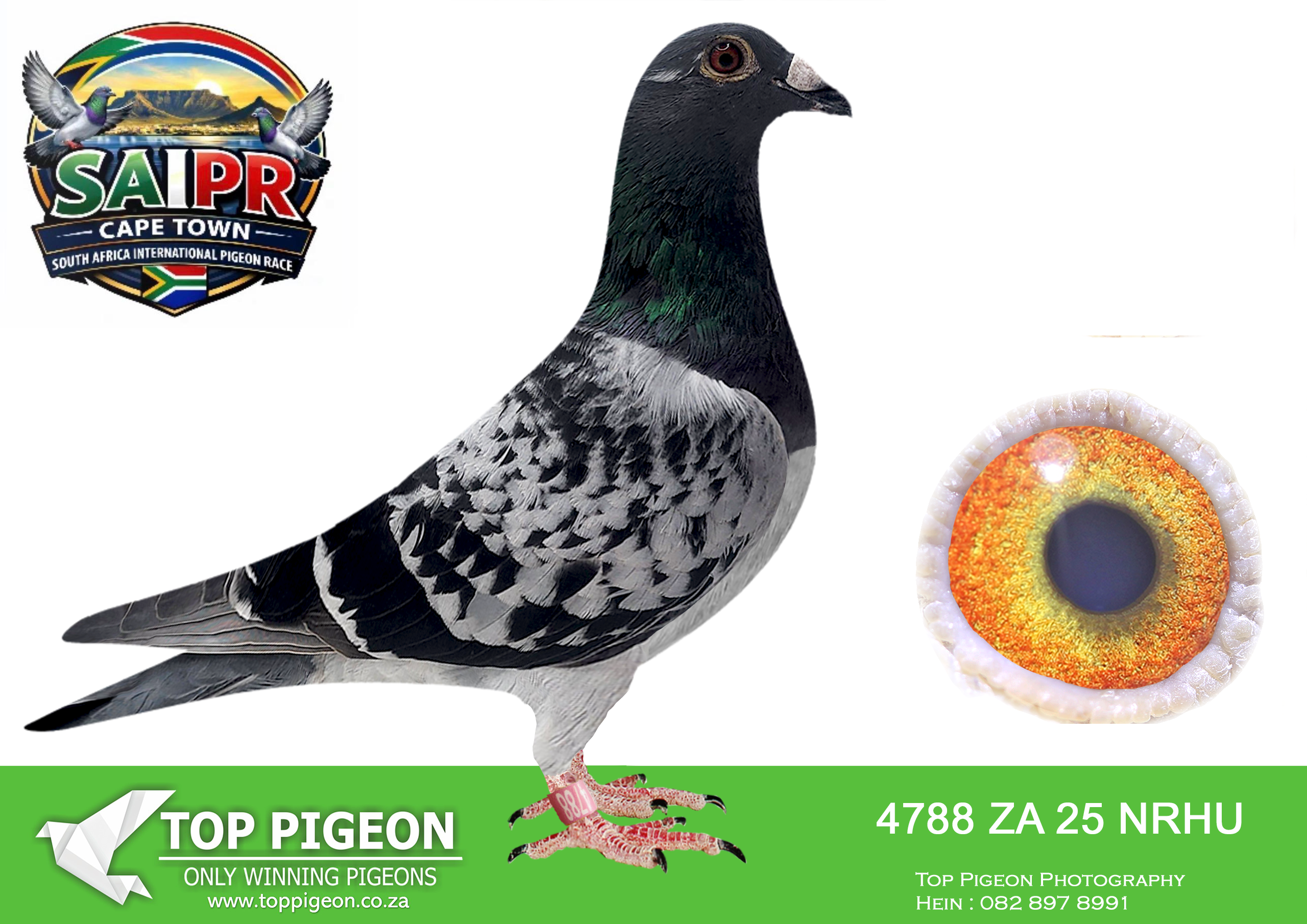 LOT 42 SAIPR CAPETOWN-Louw Kings-ZA-2025-NRHU-4788 –