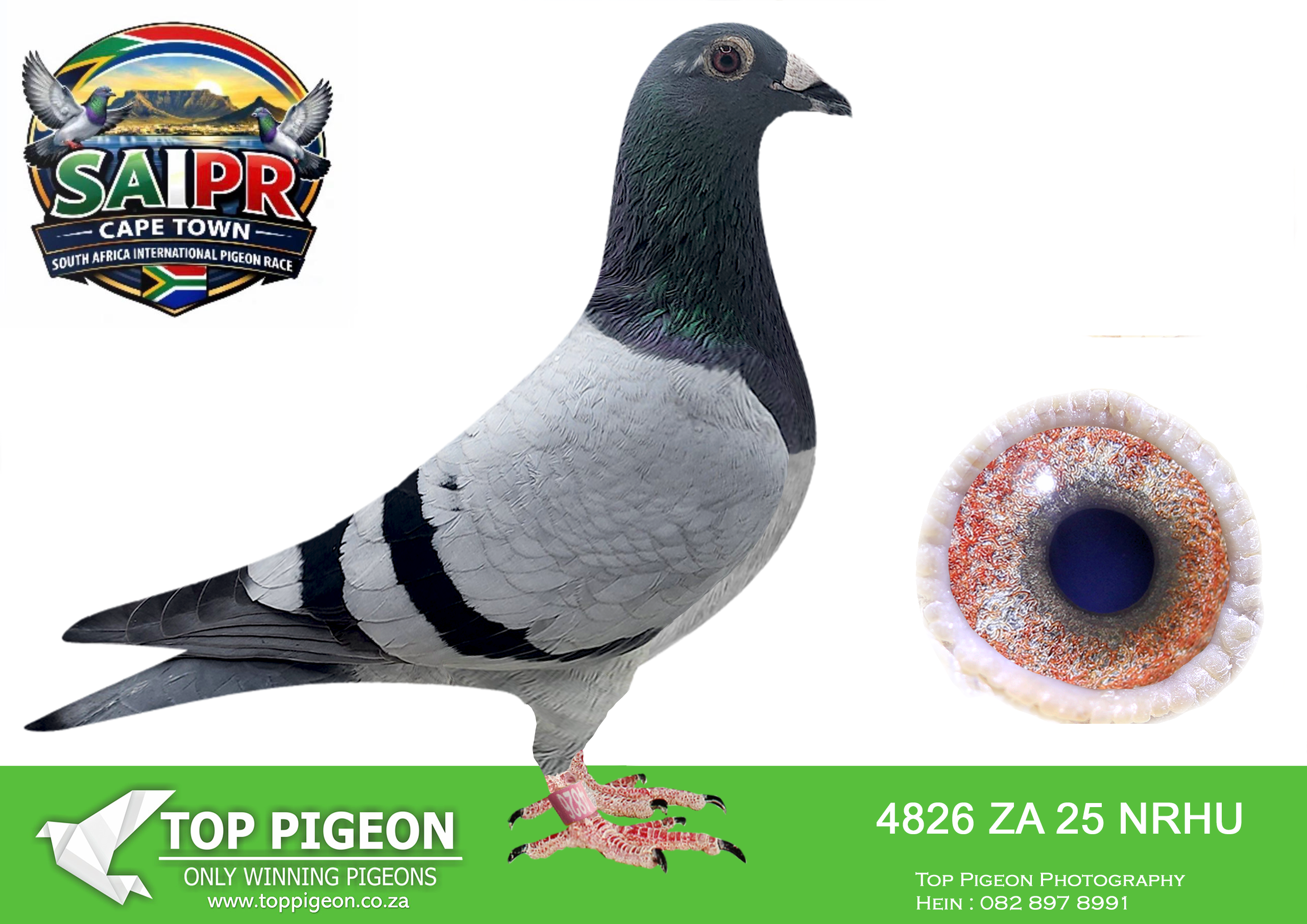 LOT 41 SAIPR CAPETOWN-Pat Manuel + Joe Gomes-ZA-2025-NRHU-4826 –