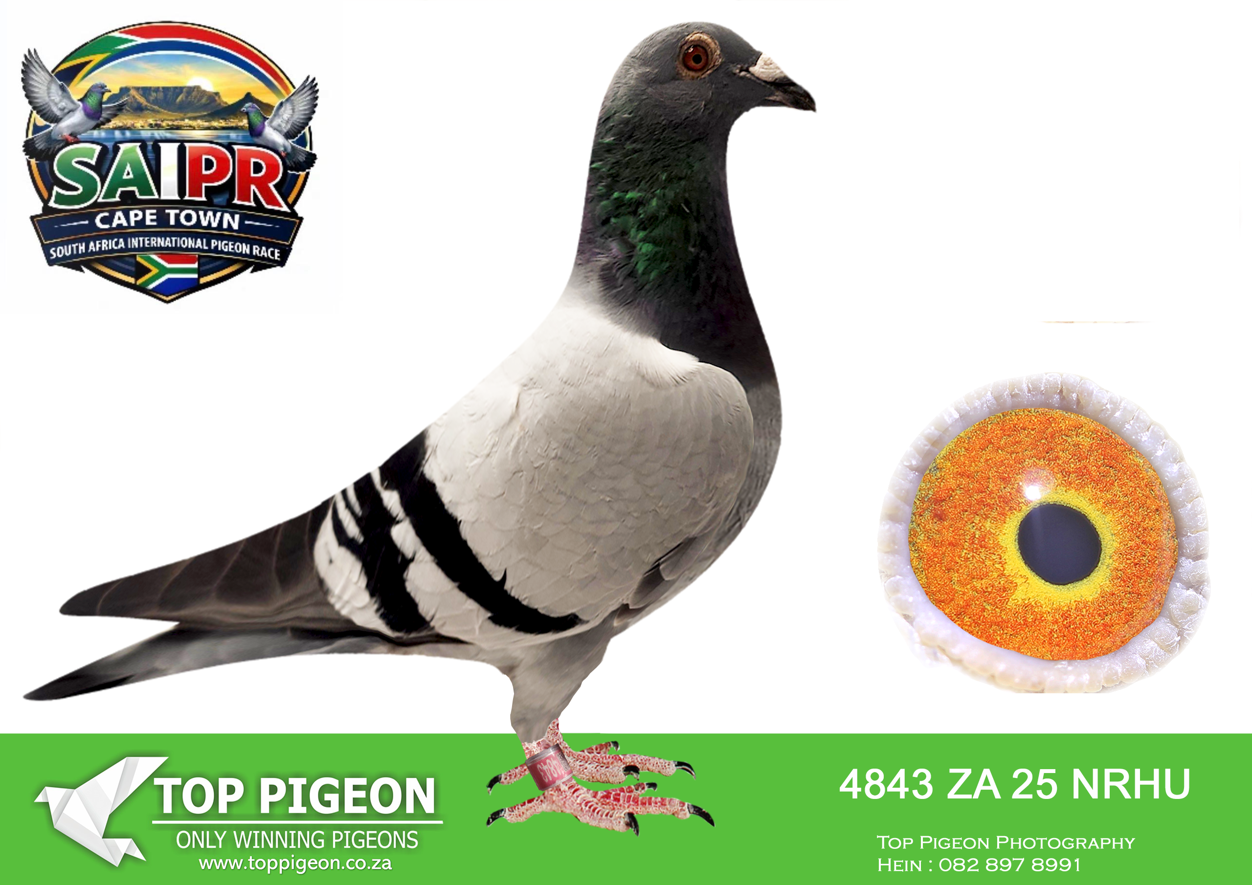 ZZ..LOT 172 SAIPR CAPETOWN-Flip Wessels-ZA-2025-NRHU-4843 –