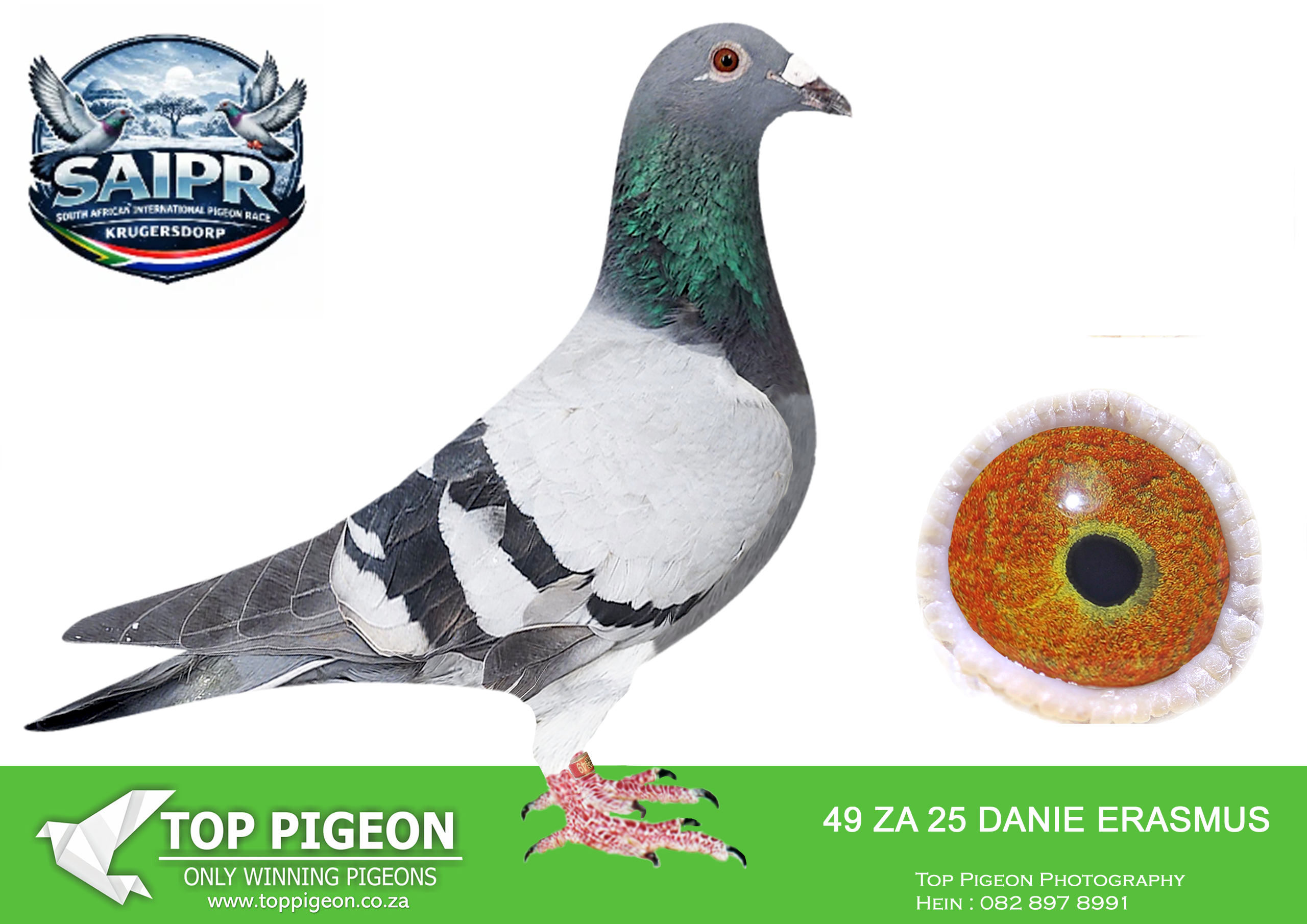 ZZ..LOT 134 SAIPR AUCTION 3- Danie Erasmus 2-DANIE ERASMUS 49 2025 –