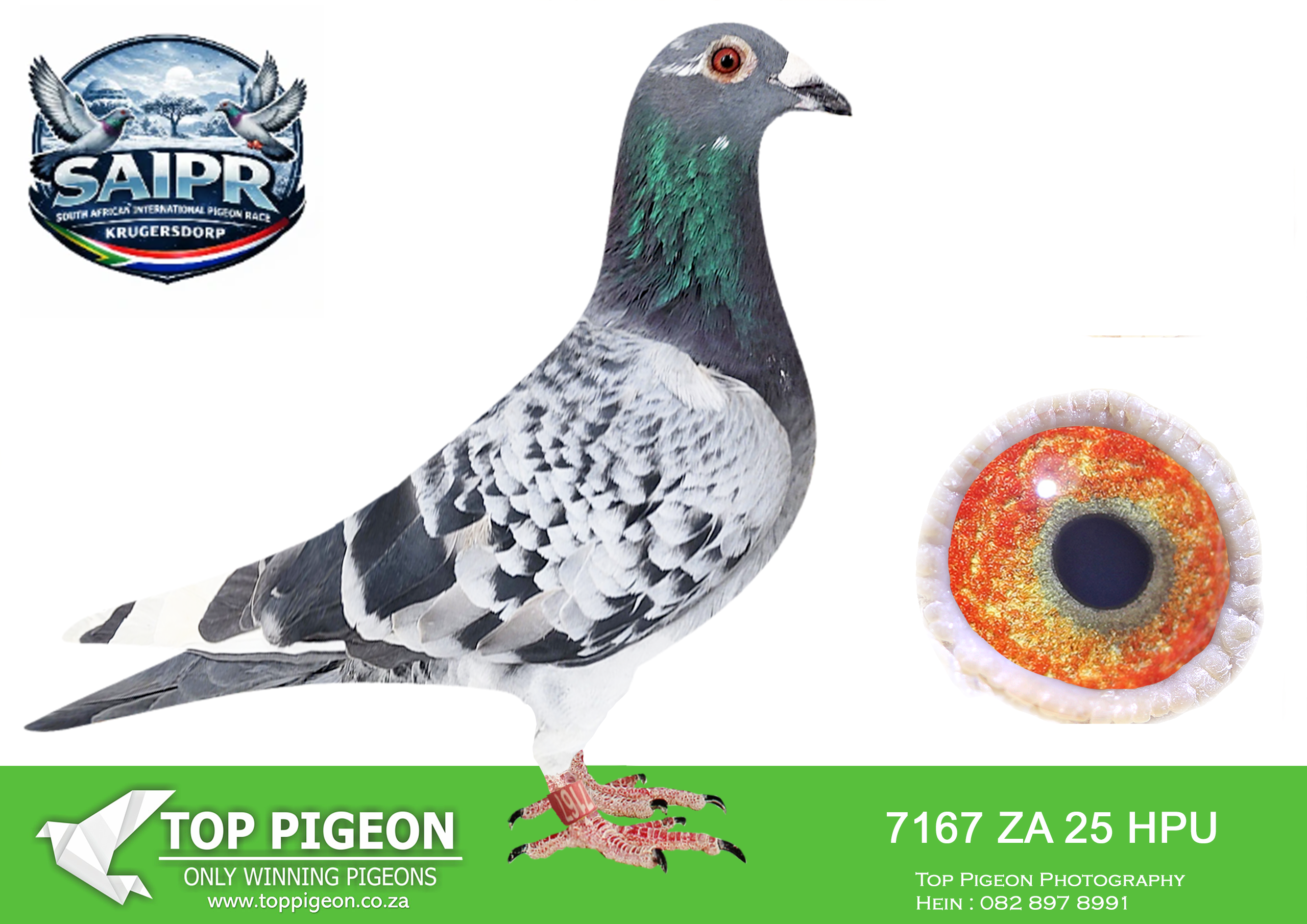 LOT 32 SAIPR AUCTION 3 -Frik Stander-ZA HPU 7167 2025 –