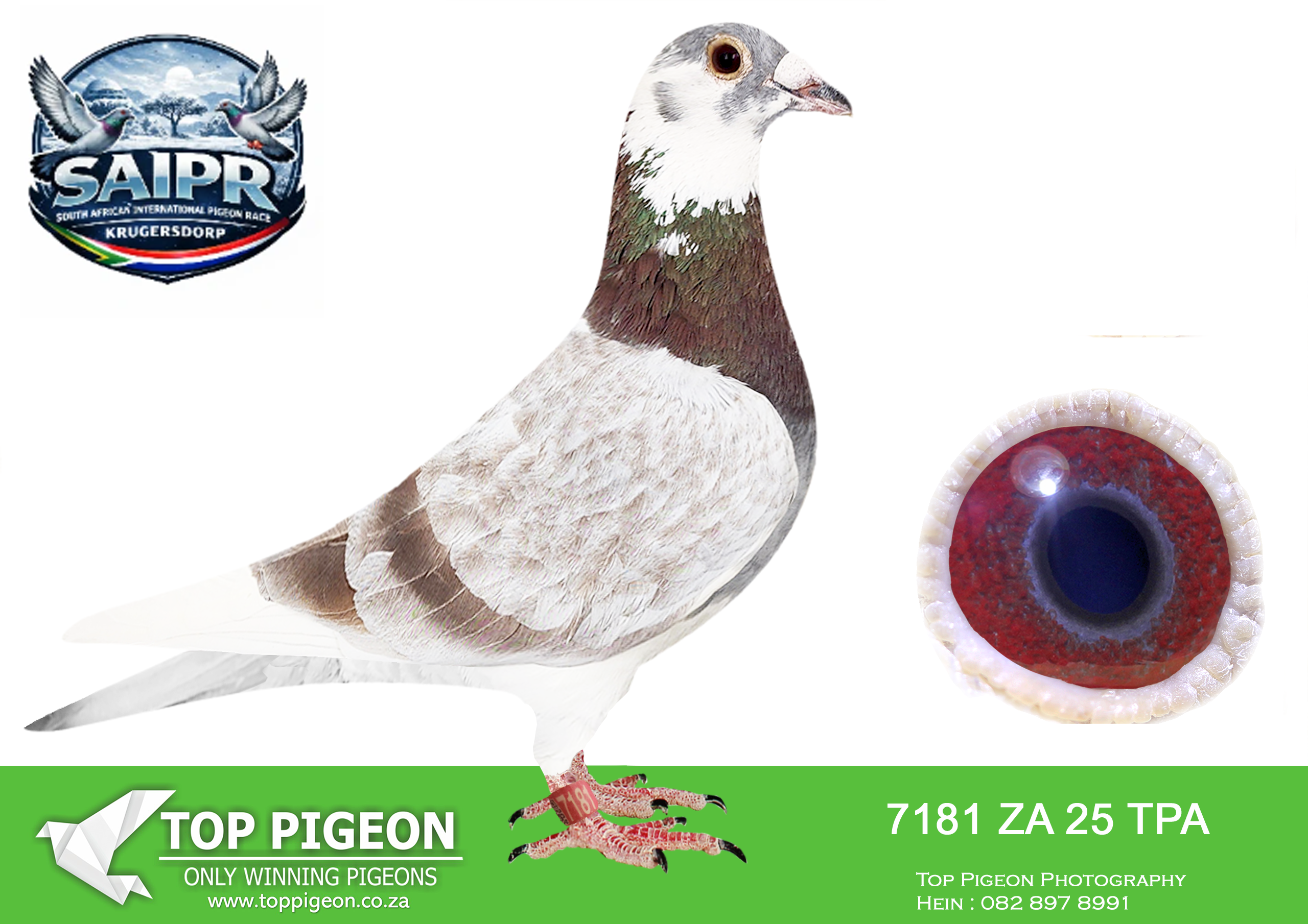 .LOT 1 SAIPR AUCTION 3 – Gys Louw 2-TPA 7181 2025 –