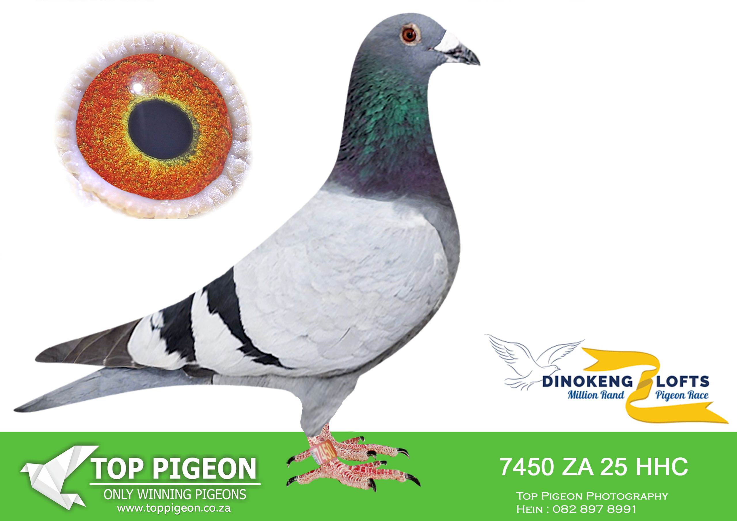 .LOT 5 DINOKENG AUCTION 2-HOTZ LOFTS-ZA HHC 25- 7450 –