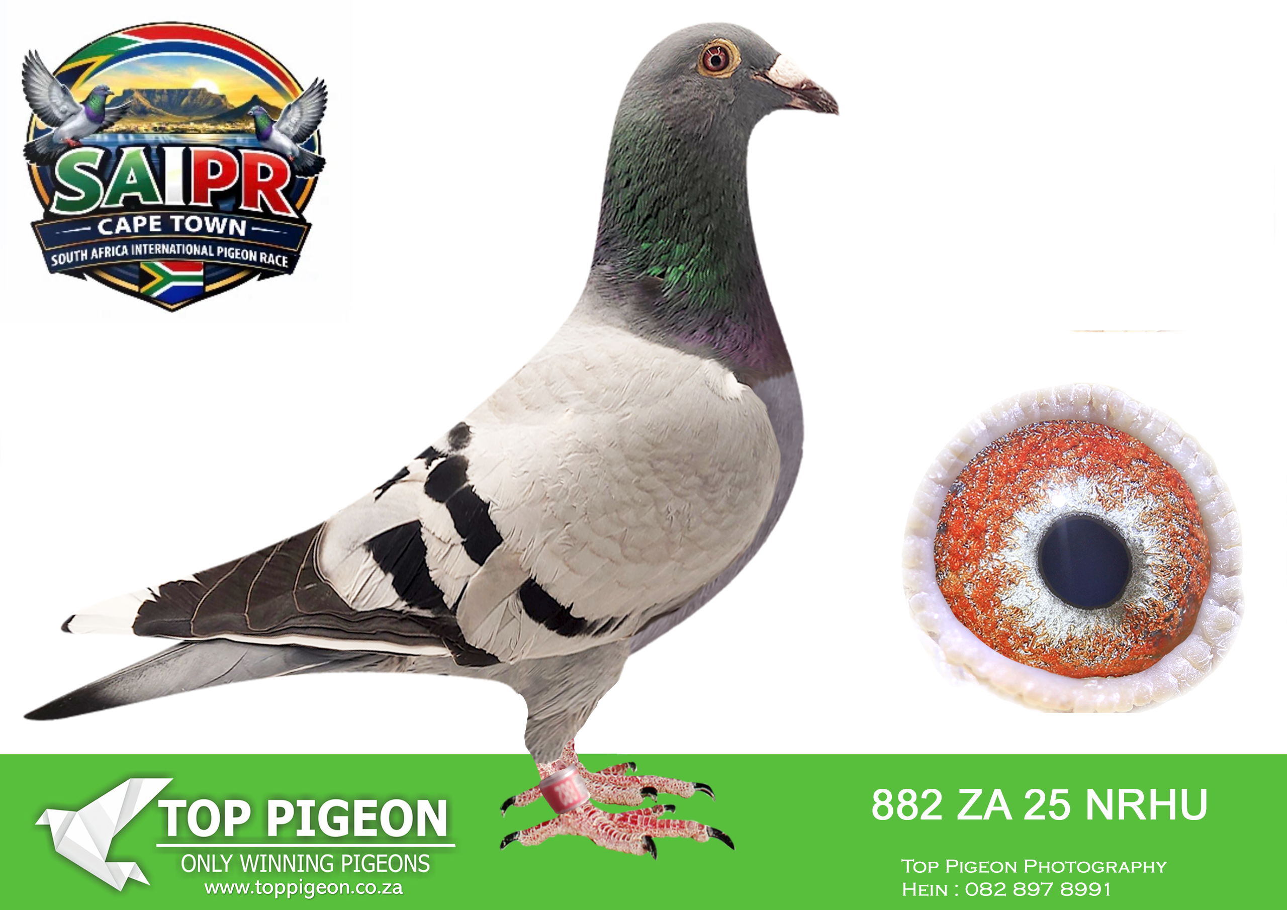LOT 28 SAIPR CAPETOWN-Klerksdorp Racers-ZA-2025-NRHU-882 –