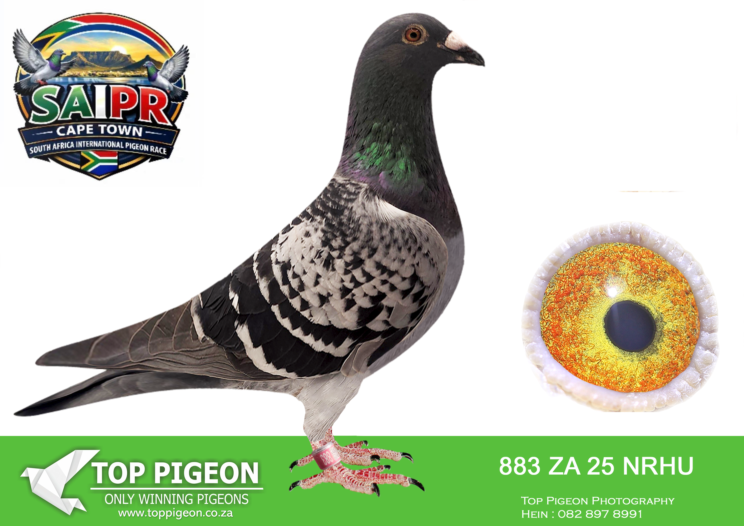 ZZ..LOT 120 SAIPR CAPETOWN-Abrie Coetzee-ZA-2025-NRHU-883 –