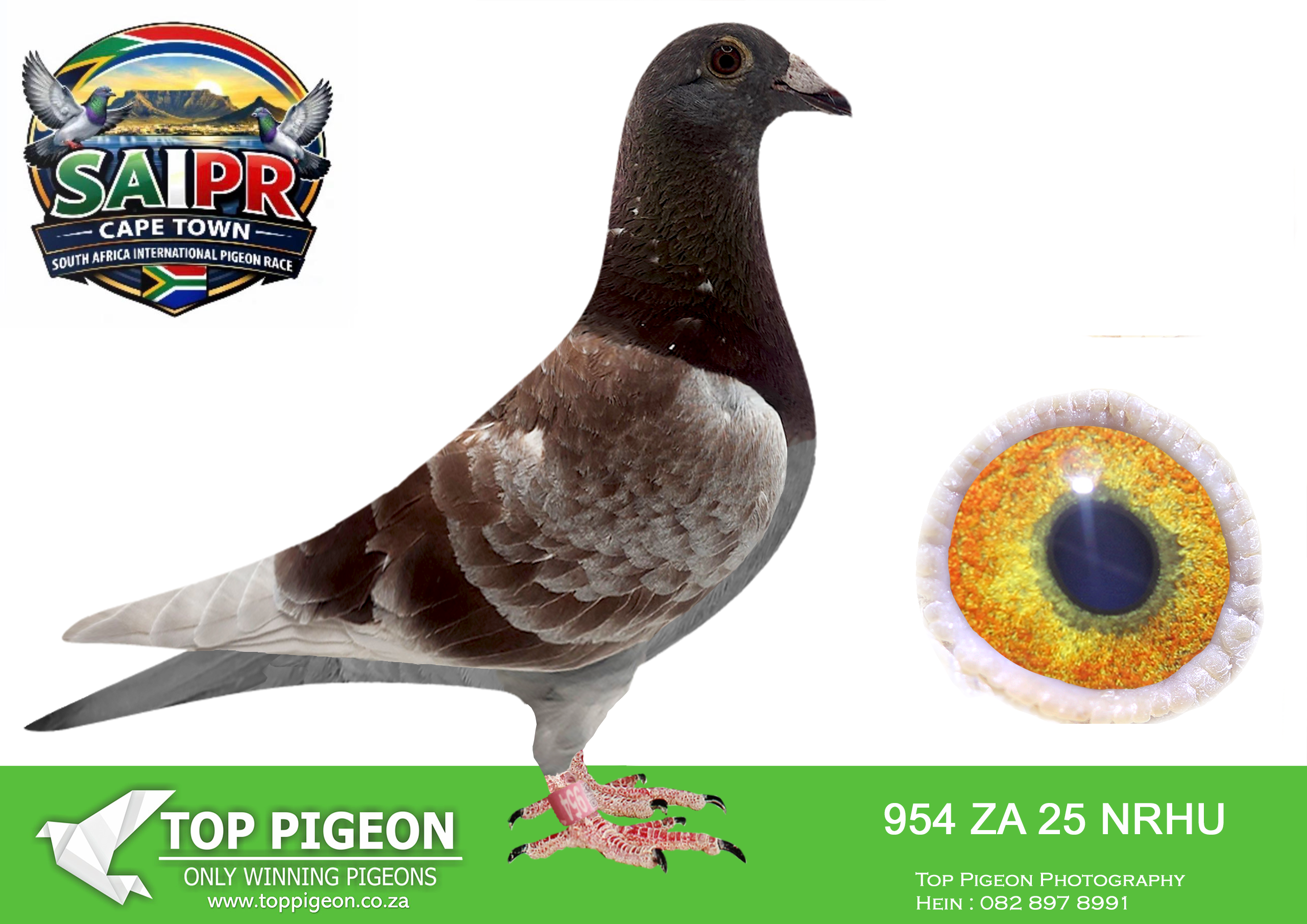 LOT 35 SAIPR CAPETOWN-Abrie Coetzee-ZA-2025-NRHU-954 –