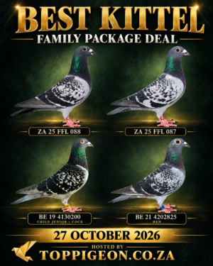 ACTIVE AUCTION - BEST KITTEL FAMILY PACKAGE DEAL - FROM 26 OCTOBER TO TUESDAY 27 OCTOBER 2026 (ENDING 20:00)