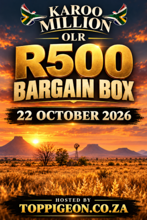 ACTIVE AUCTION - KAROO MILLION R500 BARGAIN BOX - FROM 19 OCTOBER TO THURSDAY 22 OCTOBER 2026 (ENDING FROM 20:00)
