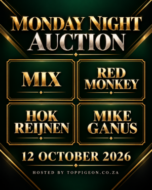 ACTIVE AUCTION - MONDAY NIGHT AUCTION - FROM 11 OCTOBER TO MONDAY 12 OCTOBER 2026 (ENDING FROM 20:15)