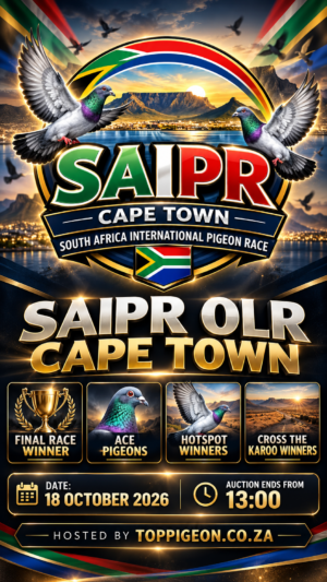 UPCOMING AUCTION - SAIPR CAPETOWN - SUNDAY 18 OCTOBER 2026 (ENDING FROM 13:00)
