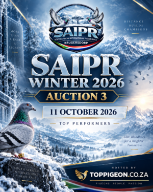 UPCOMING AUCTION - SAIPR WINTER 2026 AUCTION 3 - 11 OCTOBER 2026 (ENDING FROM 13:00)