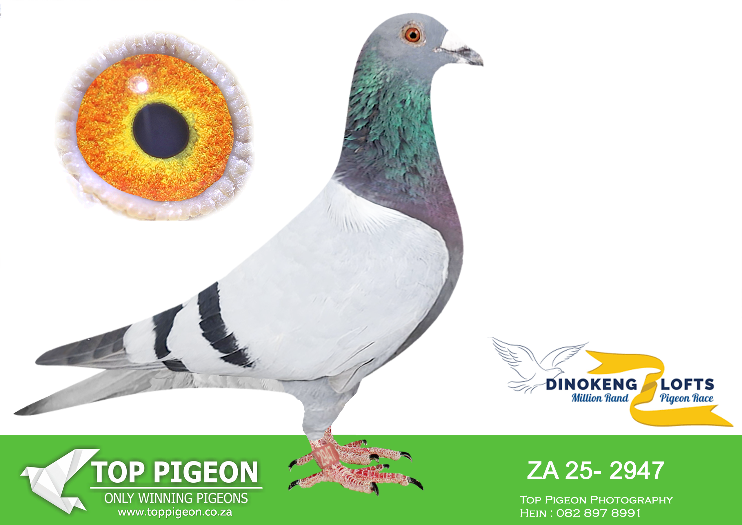 LOT 18 DINOKENG AUCTION 2-HOT ROD RACING-ZA 25- 2947 –