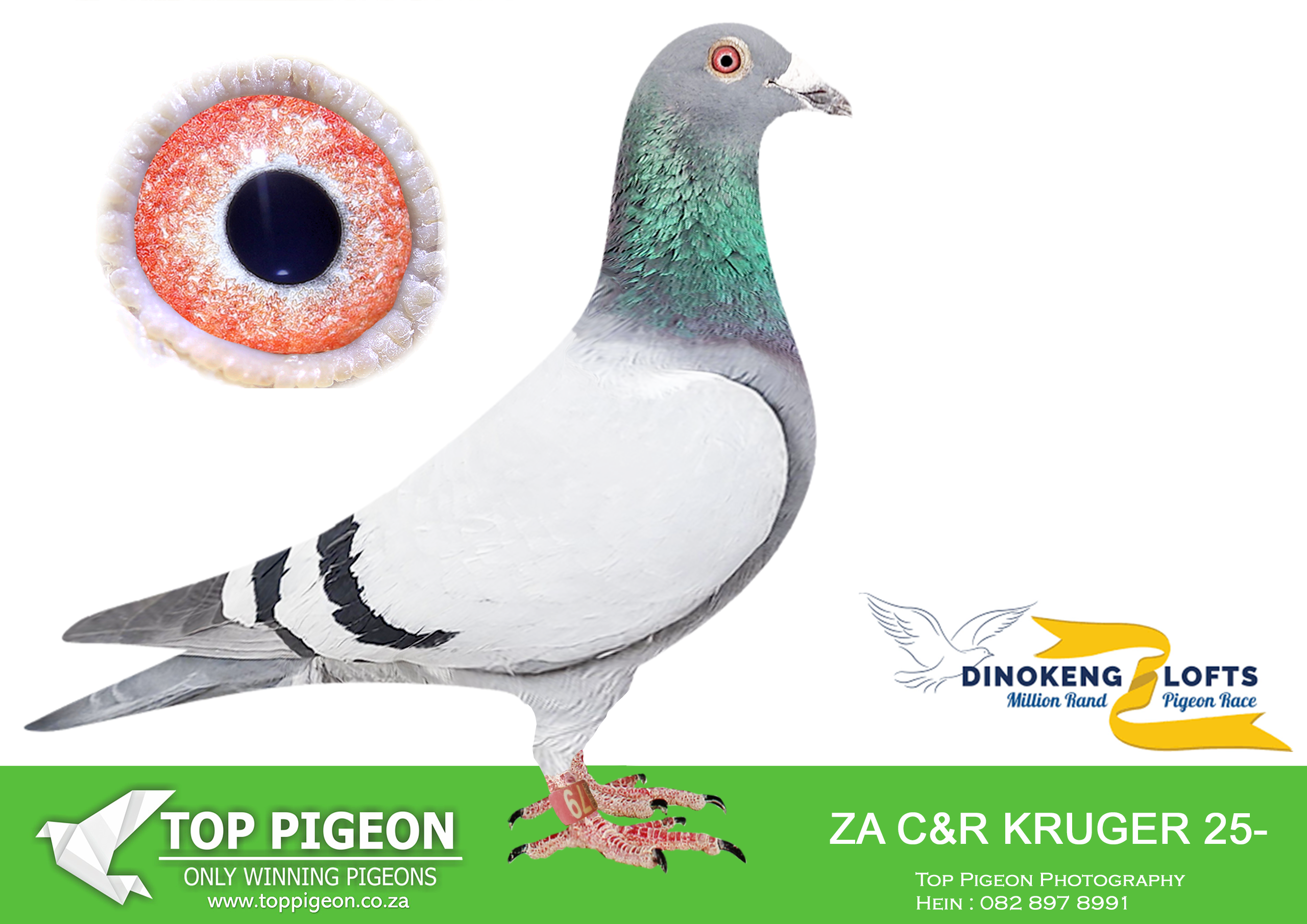 .LOT 2 DINOKENG AUCTION 2-C & R KRUGER-ZA C&R KRUGER 25- 79 –