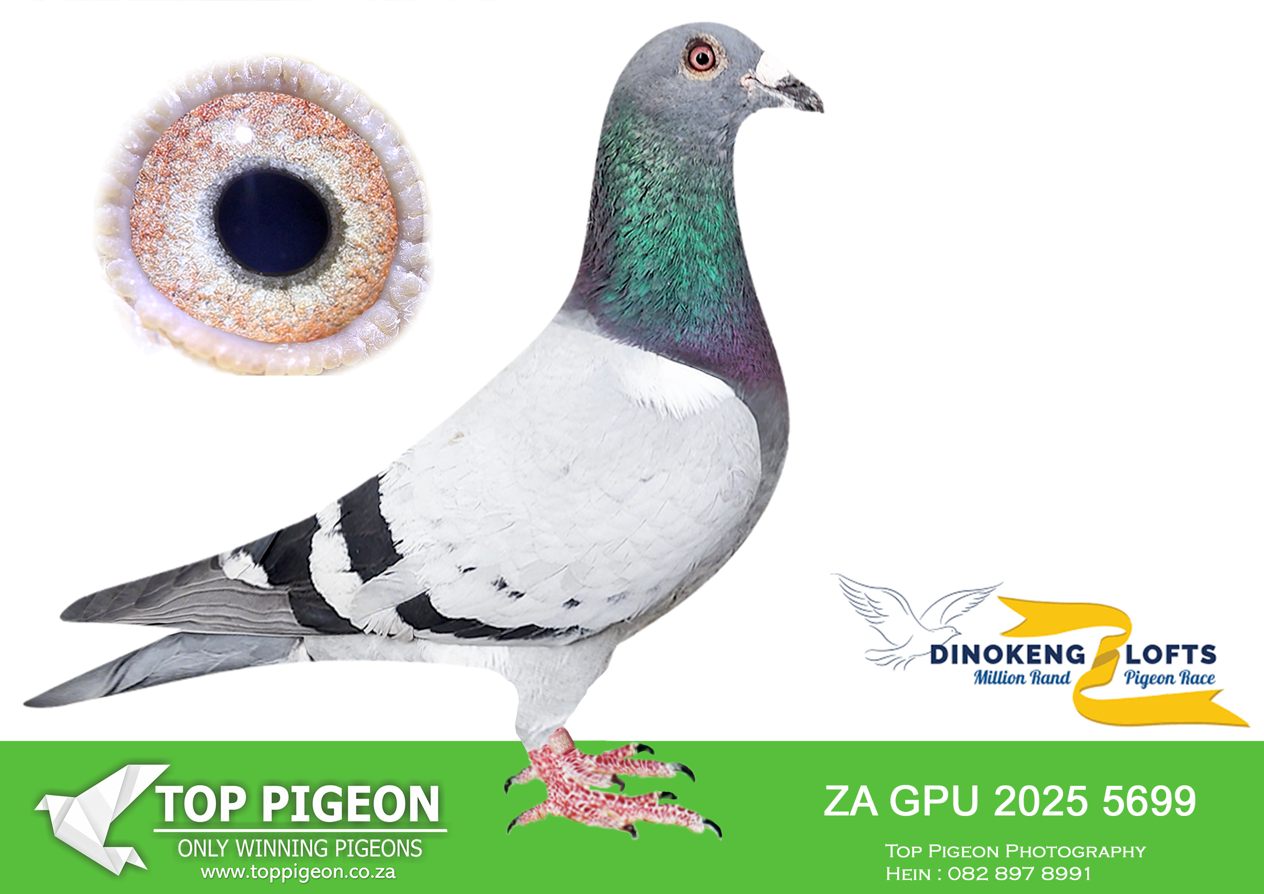 LOT 25 DINOKENG AUCTION 2-UMBERTI LOFTS & JOE GOMES-ZA GPU 2025 5699 –