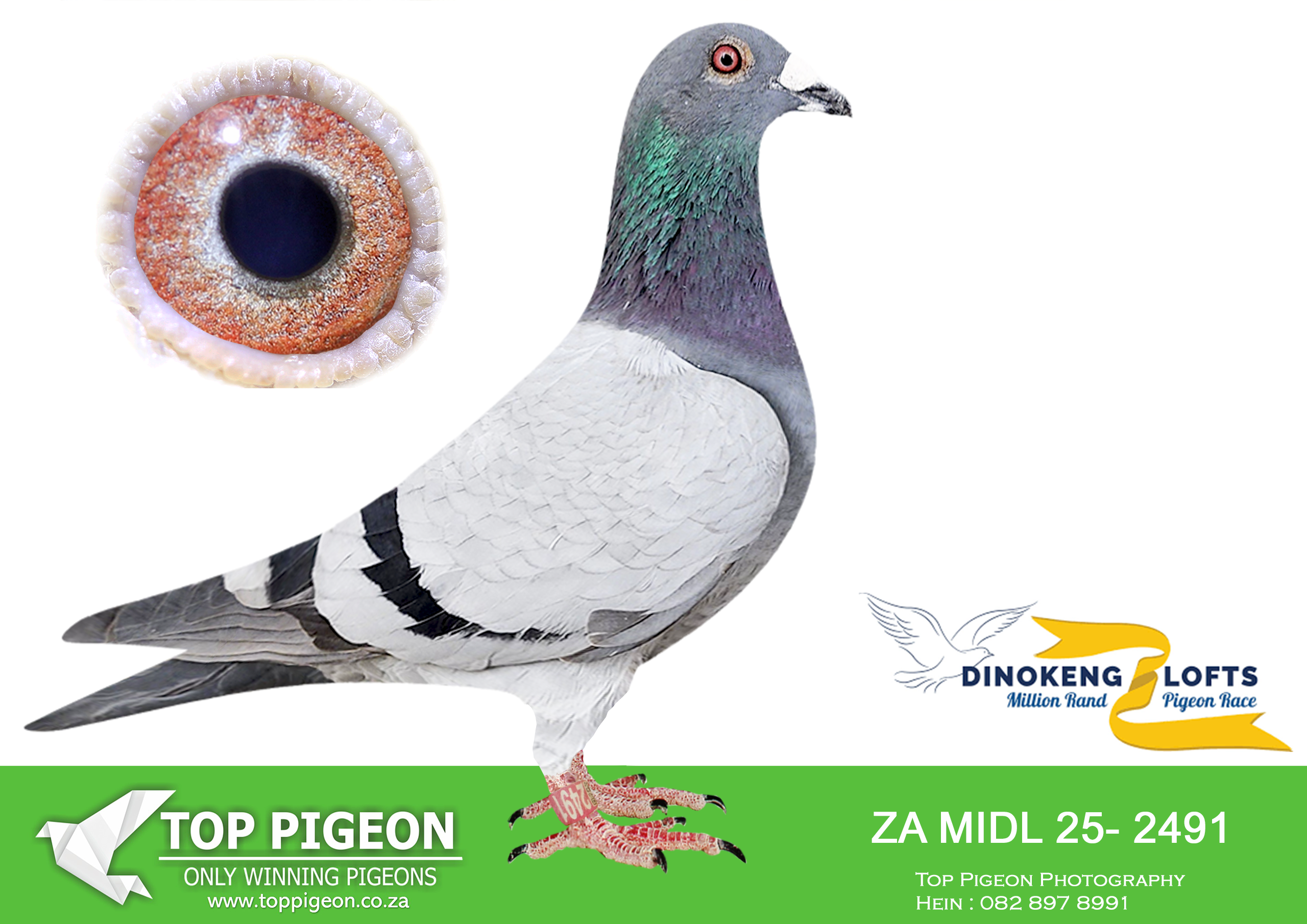 .LOT 7 DINOKENG AUCTION 2-MIDLANDS LOFTS-ZA MIDL 25- 2491 –