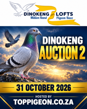 ACTIVE AUCTION - DINOKENG AUCTION 2 - SATURDAY 31 OCTOBER 2026 (ENDING FROM 13:00)